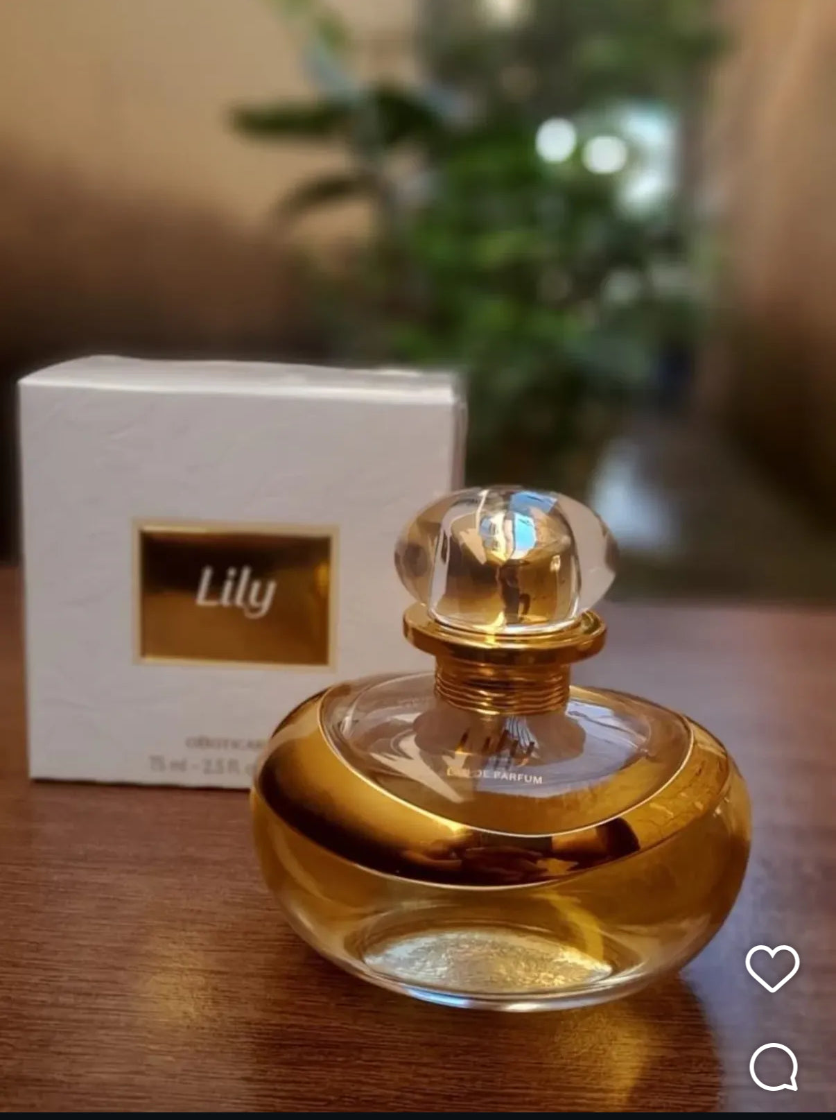 Lily